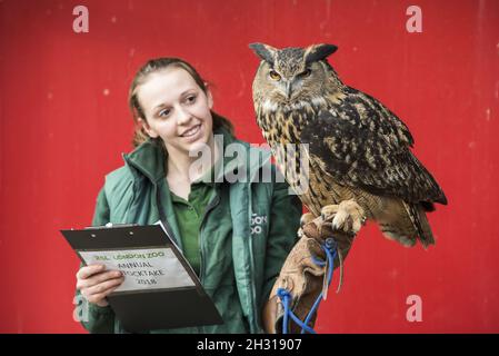 Le gardien de but Shannon avec Max the Eagle Owl lors de la sortie annuelle du zoo de Londres ZSL, au zoo de Londres.Date de la photo: Mercredi 7 février 2018.Le crédit photo devrait se lire: David Jensen/ EMPICS Entertainment Banque D'Images