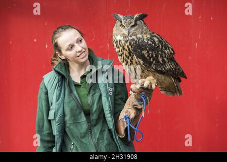 Le gardien de but Shannon avec Max the Eagle Owl lors de la sortie annuelle du zoo de Londres ZSL, au zoo de Londres.Date de la photo: Mercredi 7 février 2018.Le crédit photo devrait se lire: David Jensen/ EMPICS Entertainment Banque D'Images