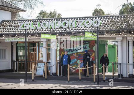 Entrée du zoo de Londres ZSL montrant une énorme baisse de visiteurs due au virus Corona, Regents Park, Londres.Date de la photo: Lundi 16 mars 2020.Le crédit photo devrait se lire: David Jensen/ EMPICS Entertainment Banque D'Images