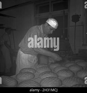 Ein Bäcker BEI seiner täglichen Arbeit, Deutschland 1950er Jahre.Un bakerman et son entreprise quotidienne, l'Allemagne des années 1950. Banque D'Images