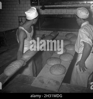 Ein Bäcker BEI seiner täglichen Arbeit, Deutschland 1950er Jahre.Un bakerman et son entreprise quotidienne, l'Allemagne des années 1950. Banque D'Images