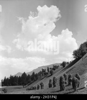 Ein Ausflug nach Tirol, Deutsches Reich 1930er Jahre. Un voyage au Tyrol, Allemagne 1930. Banque D'Images