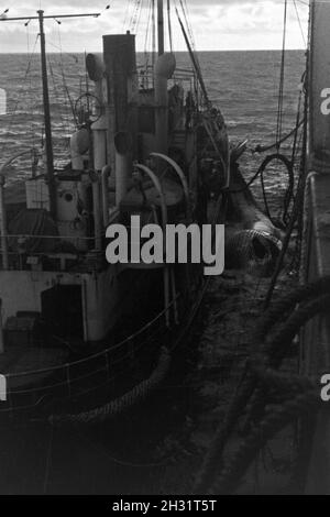 Walfangflotte Fangboot Ein der deutschen hat den von erlegten Kadaver Wals zum fabrikschiff geschleppt, 1930 er Jahre. La chasse d'un bateau de la flotte baleinière allemand a effectué un cadavre de baleine à l'du navire-usine, années 1930. Banque D'Images