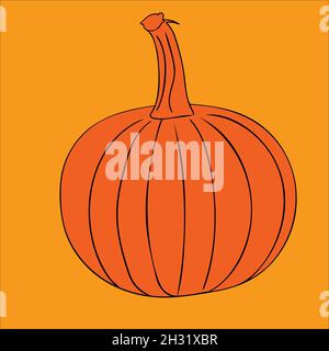 Légumes de citrouille.Élément de design coloré isolé sur jaune. Illustration de Vecteur