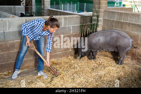 Woman farmer standing avec râteau dans porcherie Banque D'Images