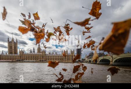Les feuilles d'automne tombent en face des chambres du Parlement de Londres. Banque D'Images