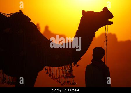 Pushkar - Inde, 23 octobre 2021, les touristes indiens apprécient le safari Camel dans le désert de Pushkar, dans l'État indien du Rajasthan le 23 octobre 2021.Photo de Himanshu Sharma/ABACAPRESS.COM Banque D'Images