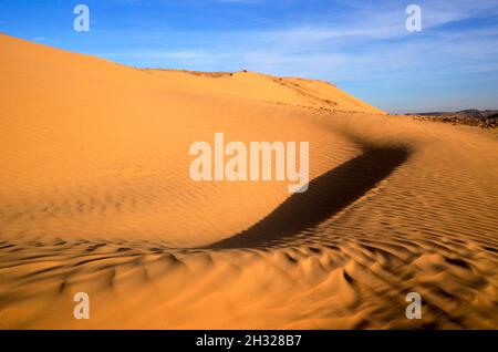 Dunes de sable du désert. Photographié dans la région de l'Aravah, désert du Néguev, Israël Banque D'Images