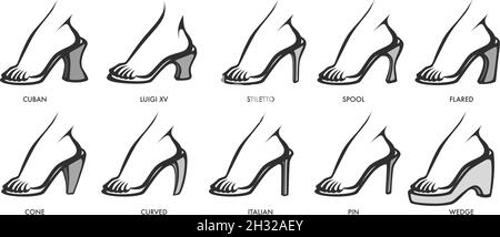 Femmes chaussures types et talons, mode et vêtements Illustration de Vecteur