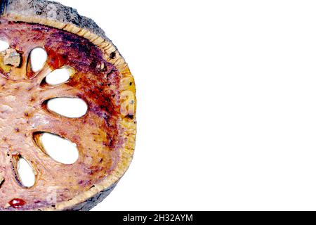 Moitié sèche Aegle marmelos (bael fruit) macro isolée sur fond blanc avec un chemin d'écrêtage. Banque D'Images