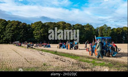 Les tracteurs d'époque se sont alignés dans le cadre du match de labour, East Lothian, Écosse, Royaume-Uni Banque D'Images