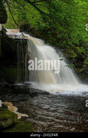 Force de chaudron à West Burton dans le parc national des Yorkshire Dales Banque D'Images