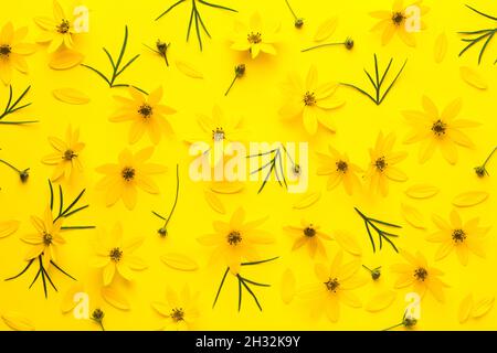 Fond de fleurs jaunes.Coreopsis verticillata zagreb.Flat lay, vue de dessus Banque D'Images