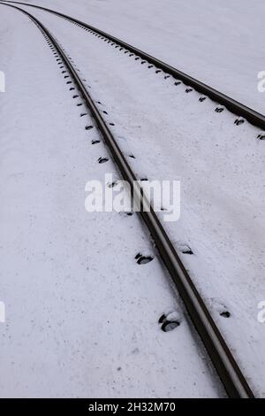 Chemin de fer sur un terrain enneigé, hiver froid dans les affaires de transport, photographie minimaliste. Banque D'Images