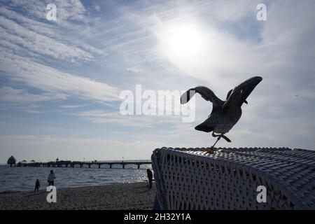 25 octobre 2021, Schleswig-Holstein, Grömitz : un mouette se trouve sur une chaise de plage sur la plage de la mer Baltique.Photo: Marcus Brandt/dpa Banque D'Images