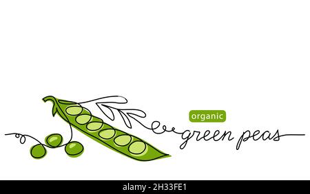 Gousse de pois verts, illustration à vecteur de couleur simple.Un dessin d'art continu avec lettrage de pois verts biologiques Illustration de Vecteur