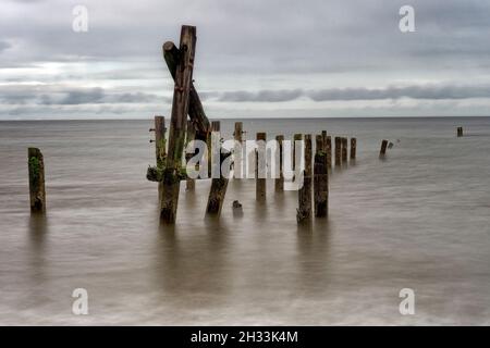 Les remins des défenses marines sous les falaises rapidement érodées de Happisburgh (Haisbro) sur la côte nord de Norfolk s'élèvent comme des sentinelles de la mer. Banque D'Images