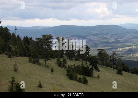 Paysage sur Divcibare, montagne Maljen, Serbie Banque D'Images