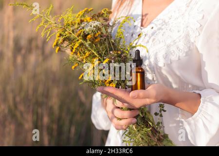 Bouteille avec un compte-gouttes sur la paume de votre main - l'herboriste recueille les herbes. Banque D'Images