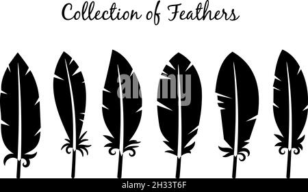 Six silhouettes noires différentes de plumes d'oiseau mignons Illustration de Vecteur