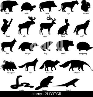 Grande collection de silhouettes noires d'animaux sauvages de la forêt Illustration de Vecteur