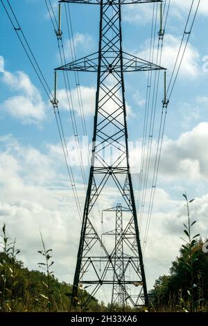 Pylône de la grille nationale du Royaume-uni avec câbles de transmission aériens, lignes électriques, traversant une coupure de feu dans une forêt en Angleterre. Banque D'Images