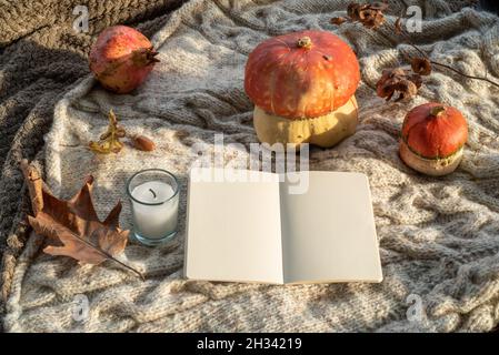 Ambiance chaleureuse pour le petit-déjeuner d'automne au soleil.maquette vierge ouverte avec tasse de café ou de thé, bougie, citrouilles.Plaid laine fond.automne, thanksgivin Banque D'Images