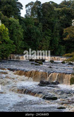 Les chutes d'eau Aysgarth, situées dans le centre du parc national d'Aysgarth Falls, sont un triple vol de petites cascades.Les chutes font partie de la rivière Ure qui coule Banque D'Images