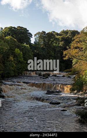 Les chutes d'eau Aysgarth, situées dans le centre du parc national d'Aysgarth Falls, sont un triple vol de petites cascades.Les chutes font partie de la rivière Ure qui coule Banque D'Images