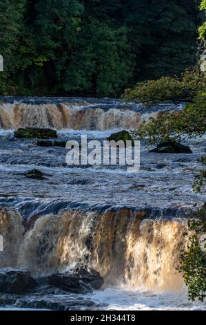 Les chutes d'eau Aysgarth, situées dans le centre du parc national d'Aysgarth Falls, sont un triple vol de petites cascades.Les chutes font partie de la rivière Ure qui coule Banque D'Images