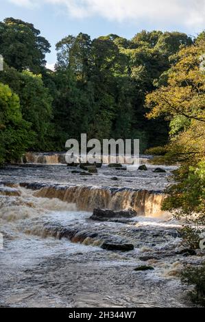 Les chutes d'eau Aysgarth, situées dans le centre du parc national d'Aysgarth Falls, sont un triple vol de petites cascades.Les chutes font partie de la rivière Ure qui coule Banque D'Images