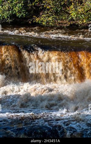 Les chutes d'eau Aysgarth, situées dans le centre du parc national d'Aysgarth Falls, sont un triple vol de petites cascades.Les chutes font partie de la rivière Ure qui coule Banque D'Images