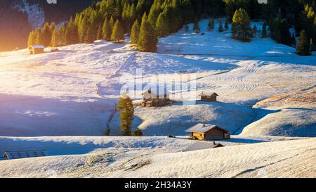 Alpe di Siusi ou Siusi avec Sassolungo Langkofel, Groupe de montagne en arrière-plan. Alpe di Siusi ou Alpe di Siusi, Sassolungo et Sassopiatto montagne Banque D'Images