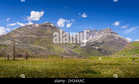 Montagnes accidentées le long de la promenade Akamina dans le parc national des Lacs-Waterton, dans les montagnes Rocheuses canadiennes, en Alberta, juste au nord de la frontière américaine Banque D'Images