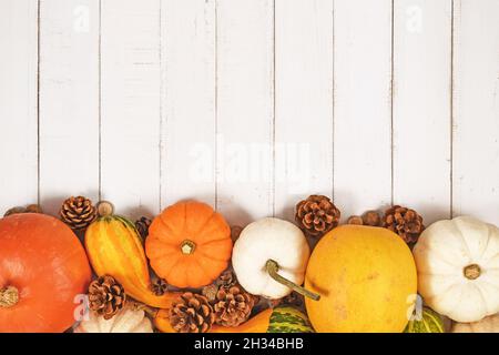 Citrouilles et courbettes de saison différentes avec feuilles d'automne et cônes de sapin au fond de fond en bois blanc avec espace de copie Banque D'Images