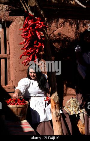 Une femme montre comment faire des rivestras traditionnels en accrochant des gousses de piment rouge au musée d'histoire vivante El Rancho de las Golondrinas du Nouveau-Mexique. Banque D'Images