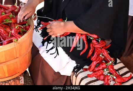 Une femme montre comment faire des rivestras traditionnels en accrochant des gousses de piment rouge au musée d'histoire vivante El Rancho de las Golondrinas du Nouveau-Mexique. Banque D'Images