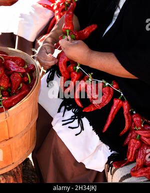 Une femme montre comment faire des rivestras traditionnels en accrochant des gousses de piment rouge au musée d'histoire vivante El Rancho de las Golondrinas du Nouveau-Mexique. Banque D'Images