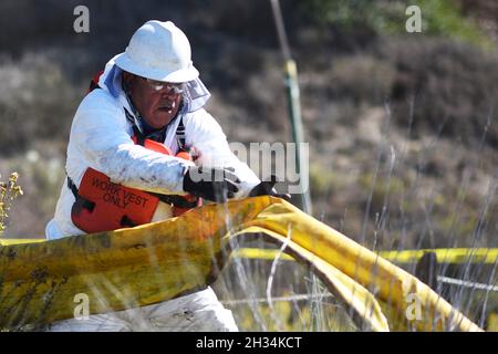 Carlsbad, États-Unis.10 octobre 2021.Les entrepreneurs déploient une rampe de confinement des hydrocarbures à Batiquitos Lagoon à la suite d'un déversement de pétrole en mer qui a déversé dans la région le 10 octobre 2021 à Carlsbad, en Californie.On estime que 144,000 gallons ont été ajoutés à un pipeline au large de Huntington Beach le 1er octobre.Crédit : PO3 Alex Gray/États-UnisCoast Guard/Alamy Live News Banque D'Images