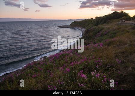 Coucher de soleil coloré sur la plage de Spiral avec vue sur la mer Salish à Victoria, Canada. Banque D'Images