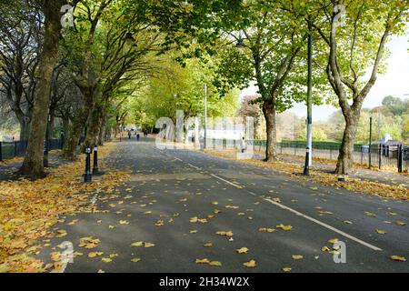 Kelvin Way, à côté du parc Kelvingrove.Feuilles d'automne.Glasgow, Écosse.Octobre 2021 Banque D'Images