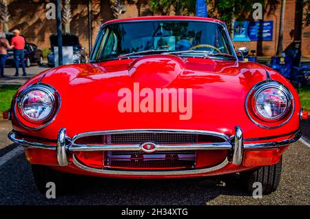 Une Jaguar E-Type FHC 1971 est exposée au 31e festival annuel de l'automobile britannique, le 24 octobre 2021, à Fairhope, Alabama. Banque D'Images