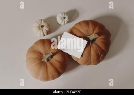 L'automne encore la vie.Gros plan de la carte de visite vierge, maquette d'invitation.Citrouilles orange et blanche sur fond beige.Articles de papeterie d'automne.Halloween Banque D'Images