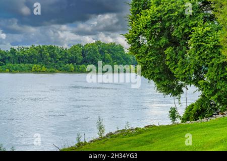 Le site de Pittsburg Landing sur la rivière Tennessee au parc militaire national Shiloh, dans le Tennessee. Banque D'Images