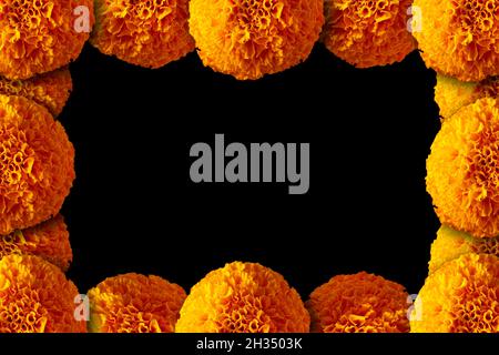 Cadre de fleurs d'orange Cempasuchil ou Marigold.(Tagetes erecta) utilisé traditionnellement dans les autels pour la célébration du jour des morts au Mexique Banque D'Images