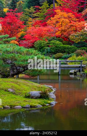 Bel étang dans le jardin japonais de Seattle, Seattle, État de Washington, États-Unis Banque D'Images