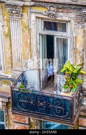 Vue sur un balcon dans un grungy détérioré mais beau et orné balcon en Europe de l'est avec lit visiable par des portes ouvertes plantes et Banque D'Images