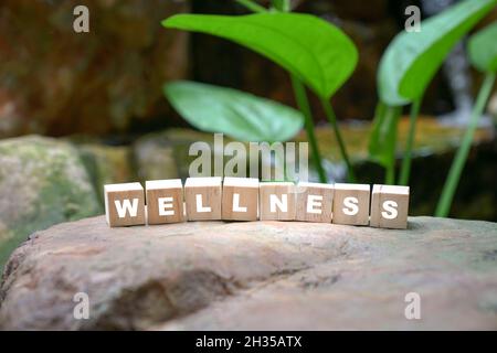 Panneau de bien-être sur des cubes en bois, entouré de pierres et de plantes vertes. Banque D'Images