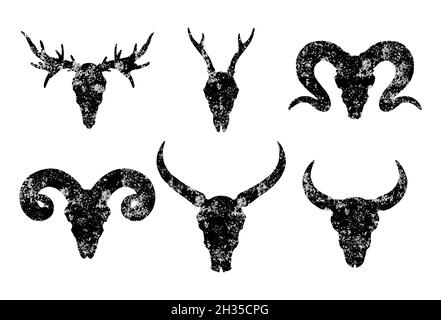 Ensemble vectoriel de six crânes dessinés à la main d'animaux cornés : buffle sauvage, taureau, cerf et bélier sur fond blanc.Silhouettes noires avec texture grunge Illustration de Vecteur