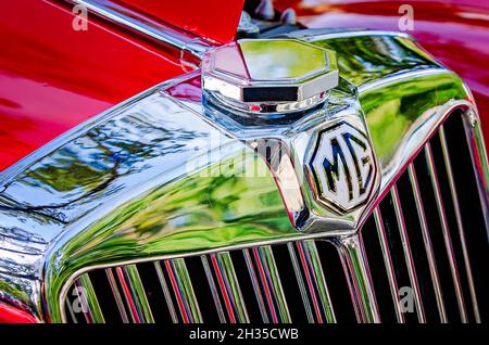 Un TF 1500 de 1955 MG est exposé au 31e British car Festival annuel, le 24 octobre 2021, à Fairhope, Alabama. Banque D'Images